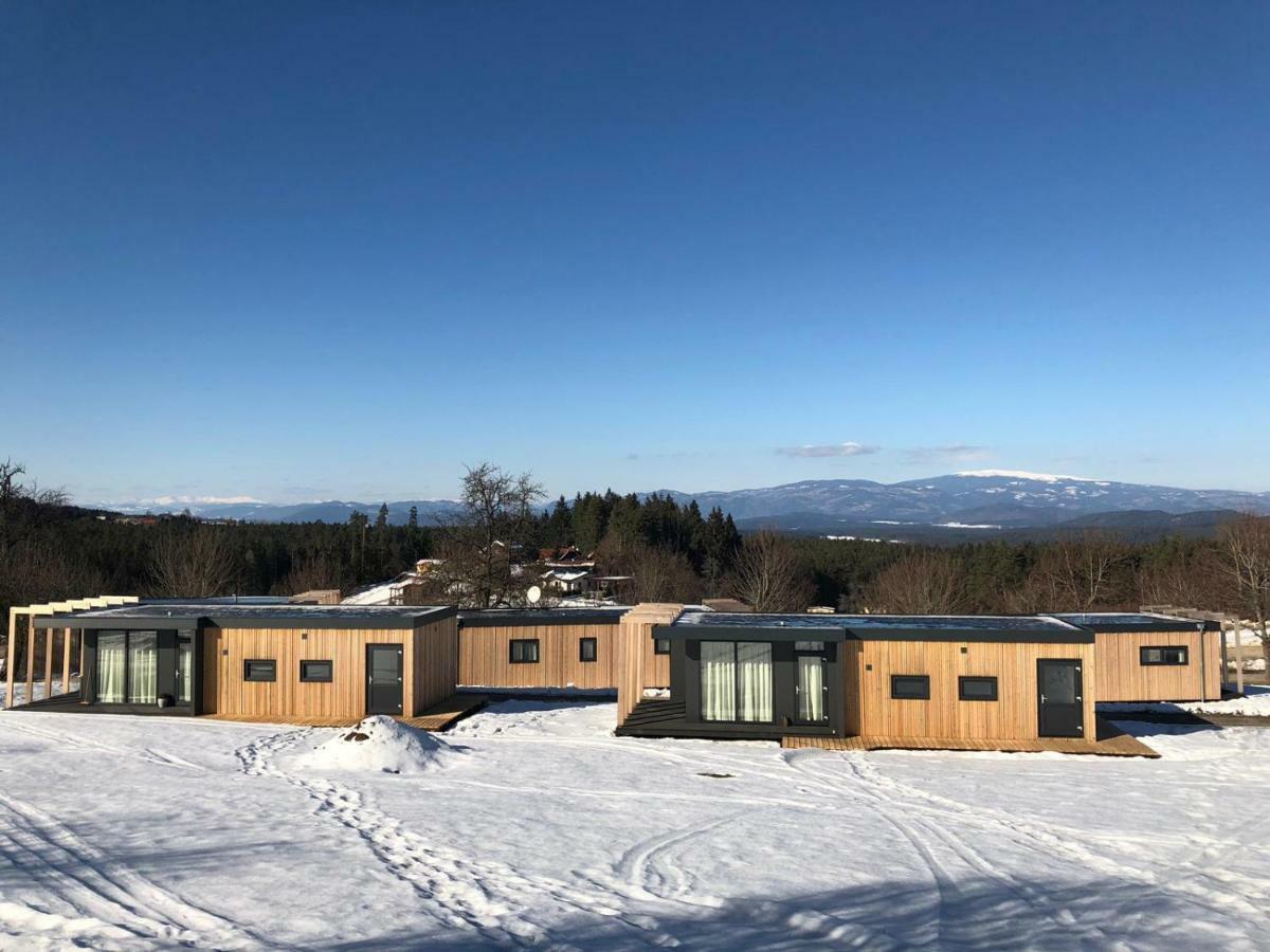 Chaletpark Petzen Feistritz ob Bleiburg 外观 照片
